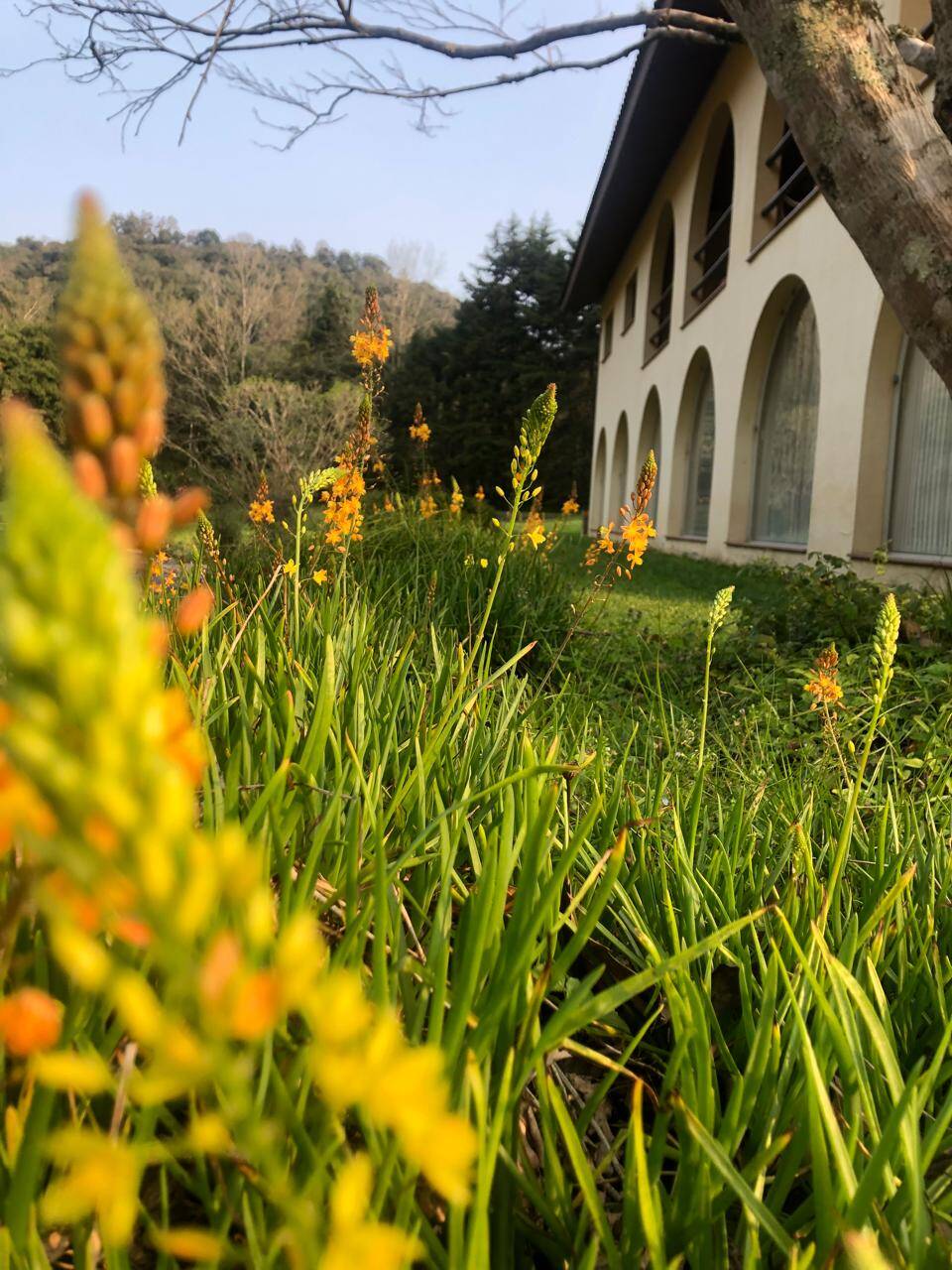 #105 - Chácara para Venda em Pinto Bandeira - RS