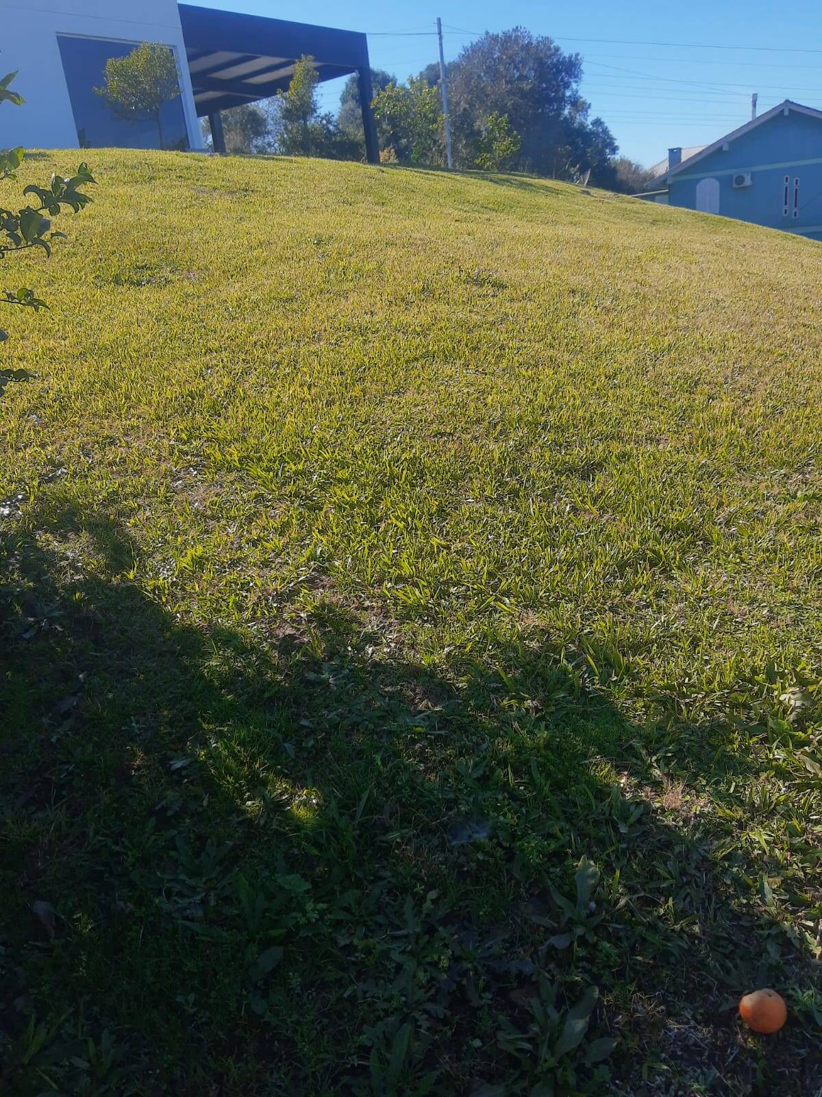 #119 - Área para Venda em Pinto Bandeira - RS