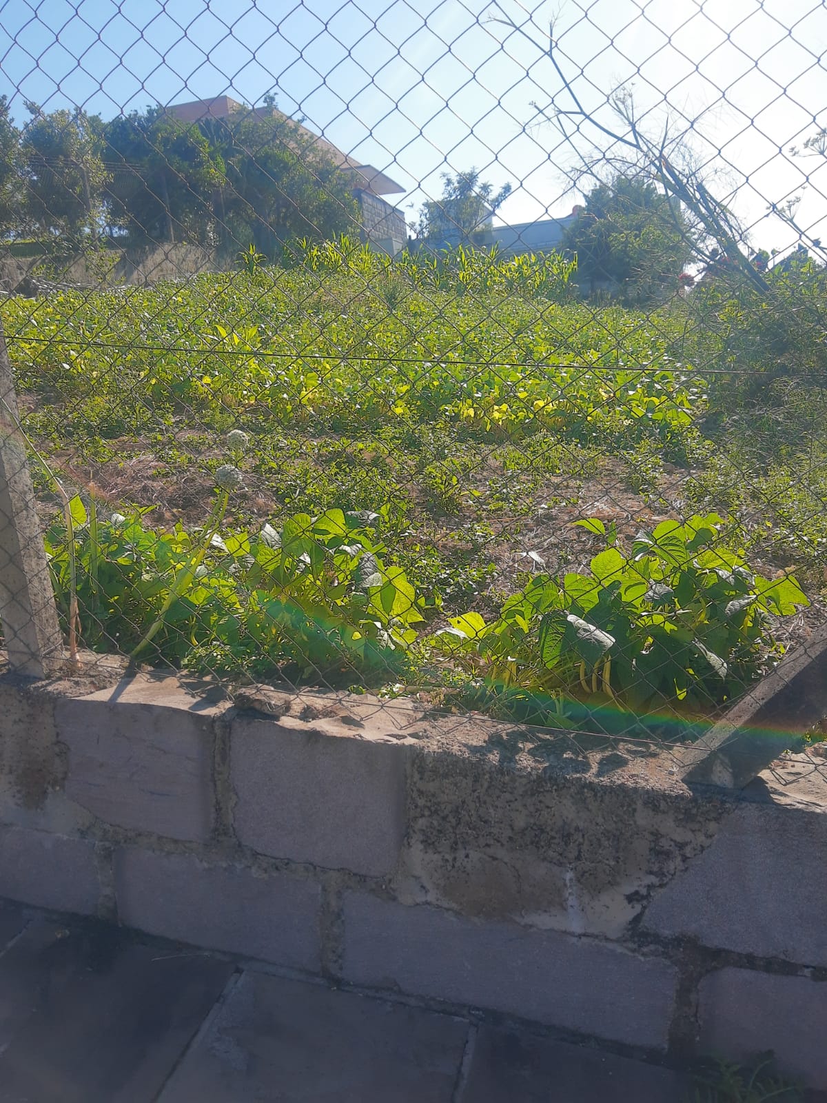 #123 - Área para Venda em Pinto Bandeira - RS