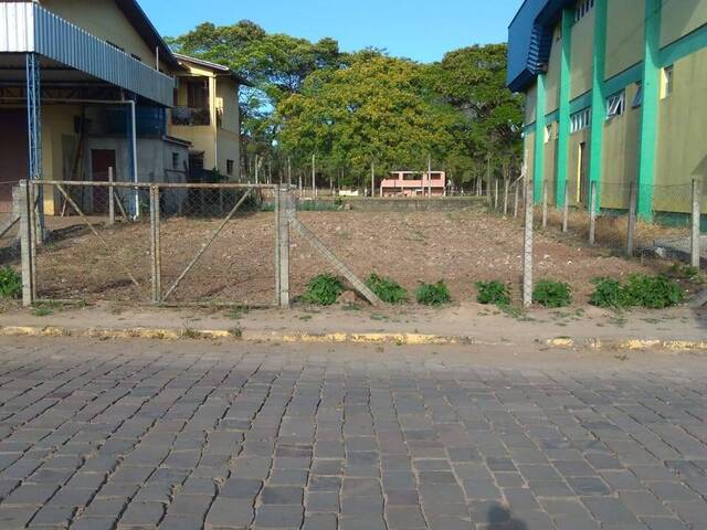 #57 - Área para Venda em Pinto Bandeira - RS - 1