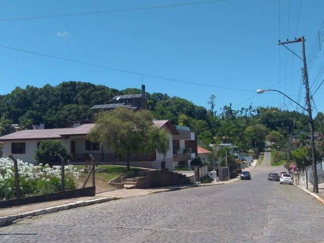 #46 - Área para Venda em Pinto Bandeira - RS - 2
