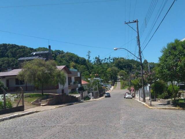 #46 - Área para Venda em Pinto Bandeira - RS - 3