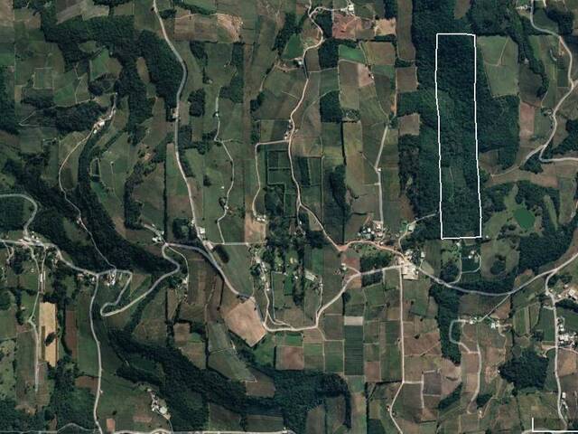 Venda em Área Rural de Farroupilha - Farroupilha