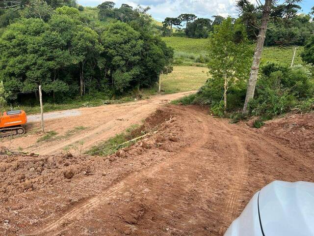 Chácara para Venda em Pinto Bandeira - 4