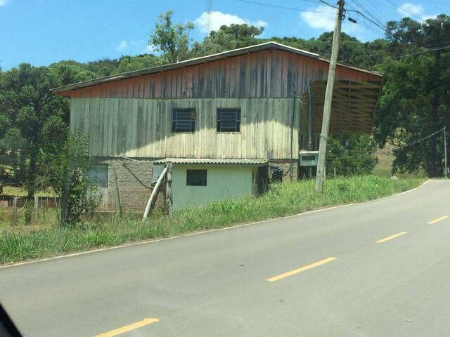 Chácara para Venda em Garibaldi - 4