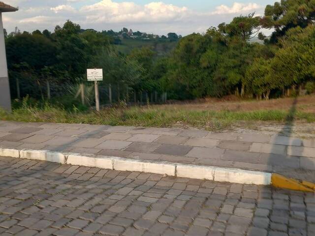 #44 - Área para Venda em Pinto Bandeira - RS - 2