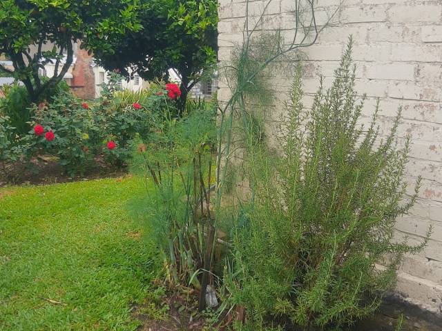 #124 - Casa para Venda em Pinto Bandeira - RS - 3