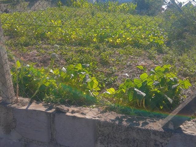 Venda em Bairro Ferrari - Pinto Bandeira