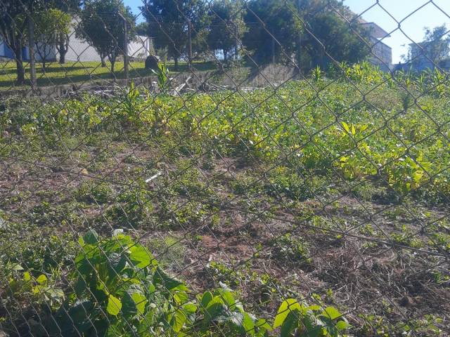 #123 - Área para Venda em Pinto Bandeira - RS - 3