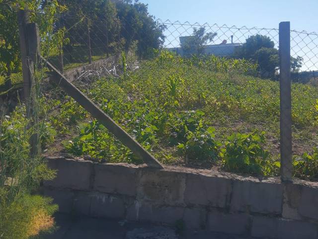 Área para Venda em Pinto Bandeira - 4
