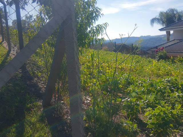 Área para Venda em Pinto Bandeira - 5