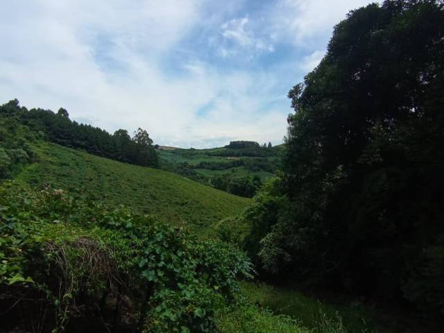 #125 - Chácara para Venda em Farroupilha - RS - 2